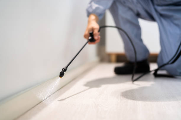 Certified termite inspector examining foundation in Reed City