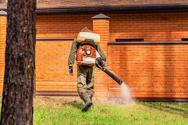 Bed Bug Clearance Verification and Documentation in Reed City